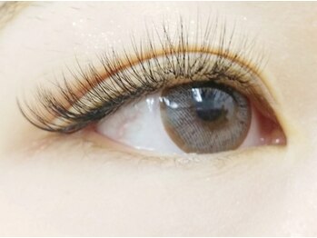 ベル(Belle)/ボリュームラッシュ100束