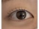 エクラ(eclat)の写真