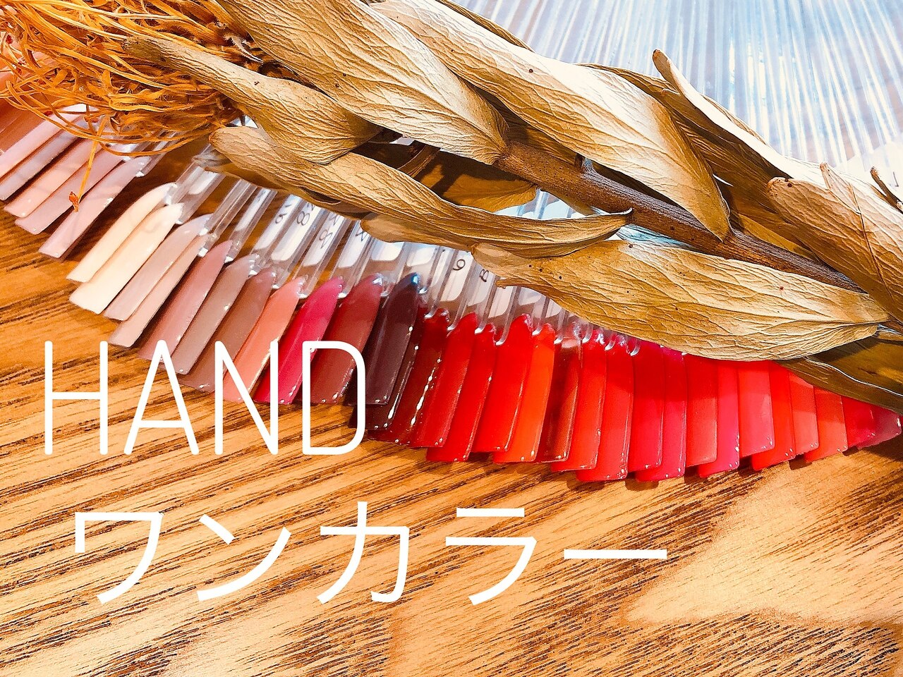 【ハンド】ワンカラージェルネイル/￥5,500 ※最終受付18:00