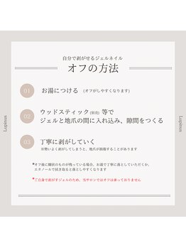 ルピナス(Lupinus)/