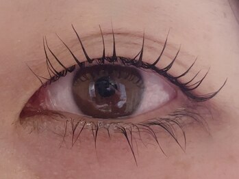 カラン 焼津店(CALIN)/上下シンプリフィ