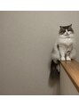ビューティーサロン ココ 星ヶ丘店(Beauty salon COCO) 実家で飼ってるねこのくうちゃんです^^