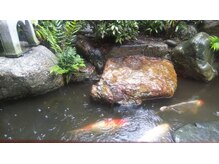 リカ/雨、中庭の池