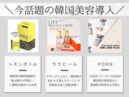 エクシア(Ecxia)の写真