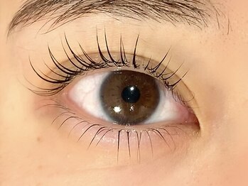 エイト アイラッシュ 二子玉川店(eight eyelash)/上下パーマセット