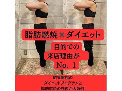ヒビタス(hibi.tas)の写真