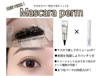 カミエ(Kamie)/韓国で人気＊マスカラパーマ