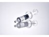 【究極の美容密度】高濃度ヒト臍帯血培養65％バイオセルフェイシャル¥18700