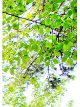 ライズ 上野(Rise) ムラカミ