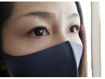 アミークス(Amicus)/【ブラウン　レッドmix】