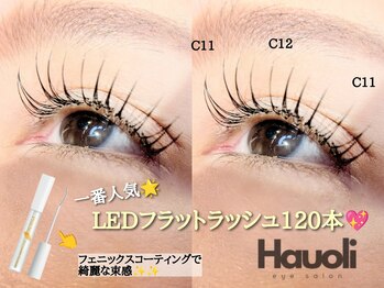 ハウオリ バイ リー 京橋(Hauoli by Lee)/LEDフラットラッシュ120本