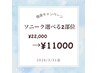 【3月限定価格】部分引き締め特化マシンソニーク¥22,000→¥11,000