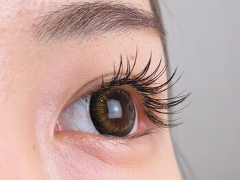 シルーナ(Ciluna)/マツエク/つけ放題