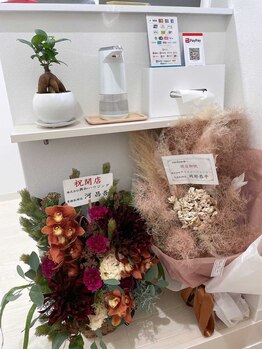 サーディン(sardine)/