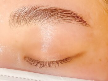 バモス(Vamos)/ハリウッドブロウリフト