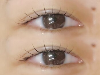 メイル(meil)/ラッシュリフト/まつ毛パーマ