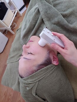 ハーブス(Herbs)/エレクトロポレーション導入