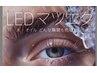 新規【モチ重視/最軽量】LEDフラットラッシュ付放題 ¥9,480→¥7,980