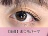 【全員】まつ毛パーマ（トリートメントなし）