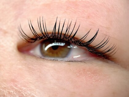 ダブル(W.)の写真