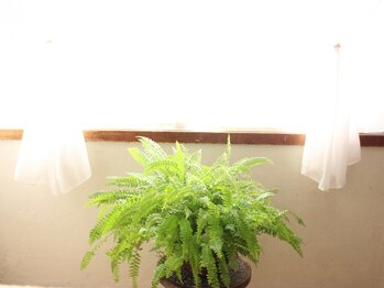 アーナンダ(ananda)/