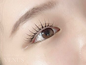 ヴィーナス 浦安店(VENUS)/W lash-ダブルラッシュ-60本