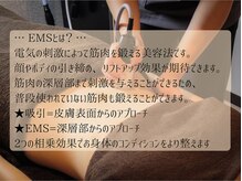 サロン ラフ アンド アースの雰囲気（EMS(電気の刺激)をプラスし、深層部の筋肉へとアプローチします）