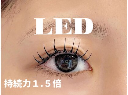 リコ(Rico)の写真