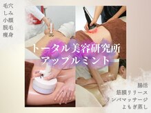 アップルミント