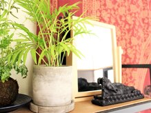 アーナンダ(ananda)/