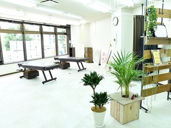 本気の整体 町田店/自然をテーマにした明るい店内