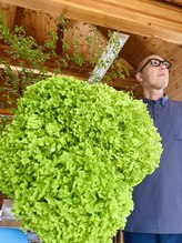 わたなべ整体院/