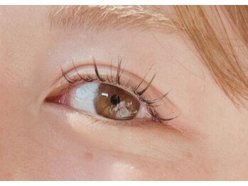 トランジットケイ(TRANSIT K)/カラーワンホン