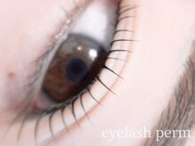 アイラッシュ＆ネイル レーヌ池袋 (Reine)/まつげパーマ