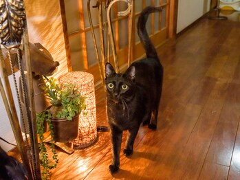 グロービューティ ミュー(growbeauty mew)/きまぐれ店長