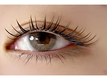 ヴォヤージュ アキタ(VOYAGE AKITA)/フラットラッシュ