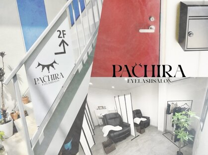 パキラ(Pachira)の写真