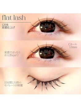 シエル 岡山駅前(Ciel)/LED◆フラットラッシュ120本