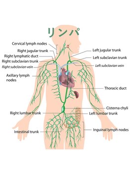 エスタ(S’ta)/大好評♪ リンパマッサージ