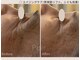ポ ワール(Poir)の写真