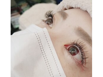 アミークス(Amicus)/綺麗