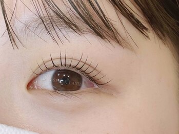 スパークラッシュ(SPARK LASH)/