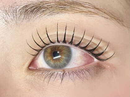 ヤテ(yate')の写真