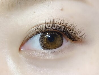 アイラッシュサロン シェリ(cheri)/【フラットブラウン 120本】