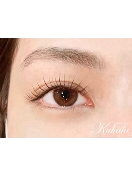 モテ可愛な目元にしたい