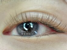 ホワイト(WHITE)/カラーラッシュ取り扱い店