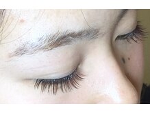 スパロウ(sparrow)/レッドブラウン