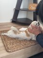 ノエッシュ(NOESH)&nbsp;いらっしゃませ♪