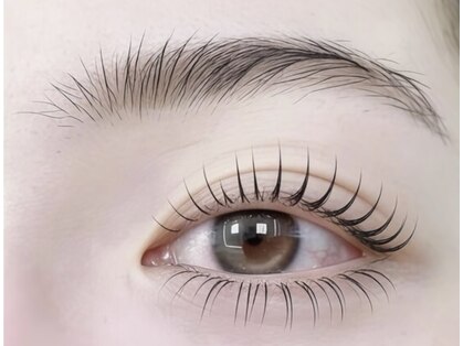 イーツゥーアイラッシュ(E2 eyelash)の写真