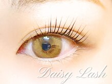 デイジーラッシュ 京橋店(Daisy Lash)/まつげパーマ［京橋マツパ眉毛］